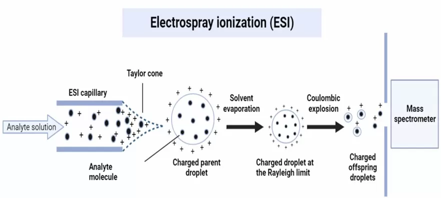 Illustration of electrospray ionization